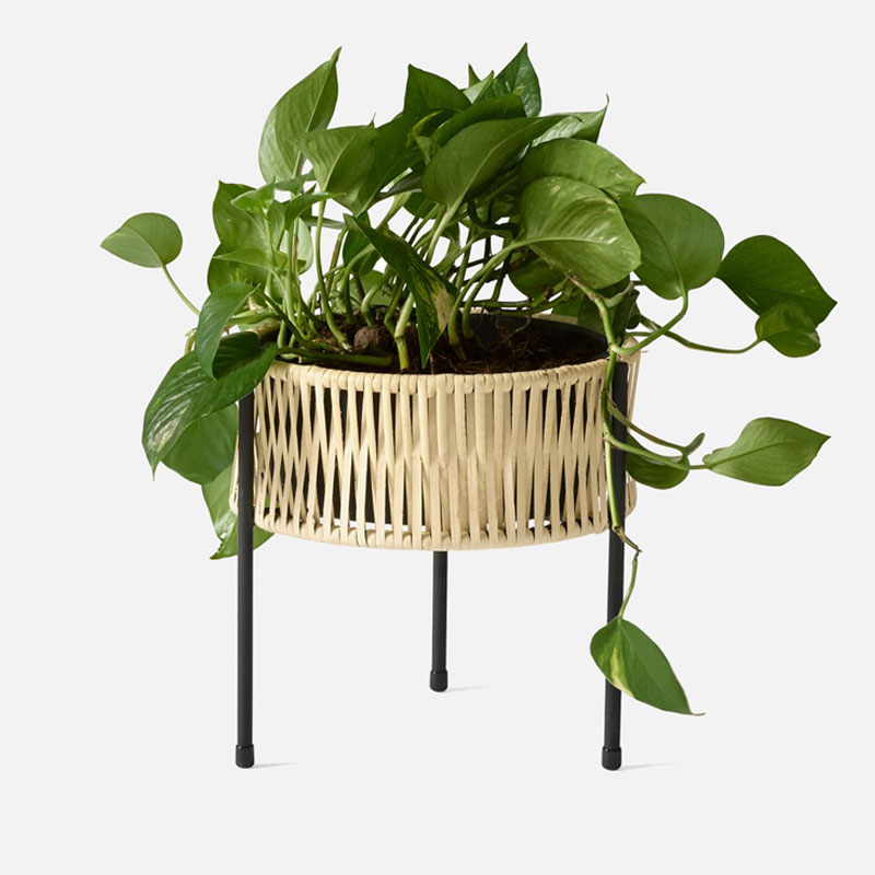 umanoff-planter-3.jpg گیاه اومانوف - Image 4